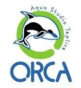 orca-teplice.cz