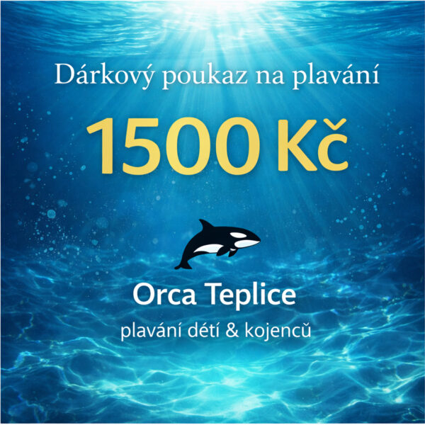 darkovy-pokaz-bazen-eshop-teplice Dárkový poukaz v hodnotě 1500 Kč